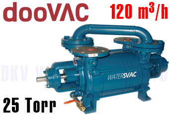 Bơm chân không vòng nước Doovac DSWD 250