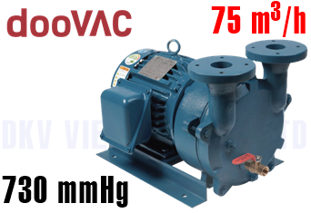 Bơm chân không vòng nước DooVac DWV 15H