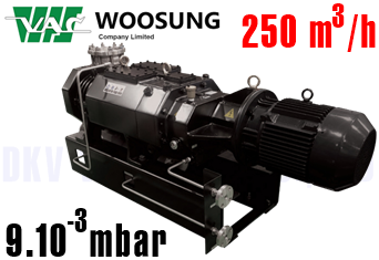 Bơm chân không Woosung MDP300B